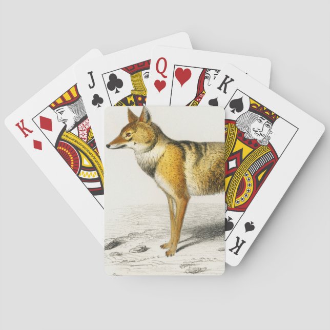 Fox vintage illustrated playing cards (Back)
