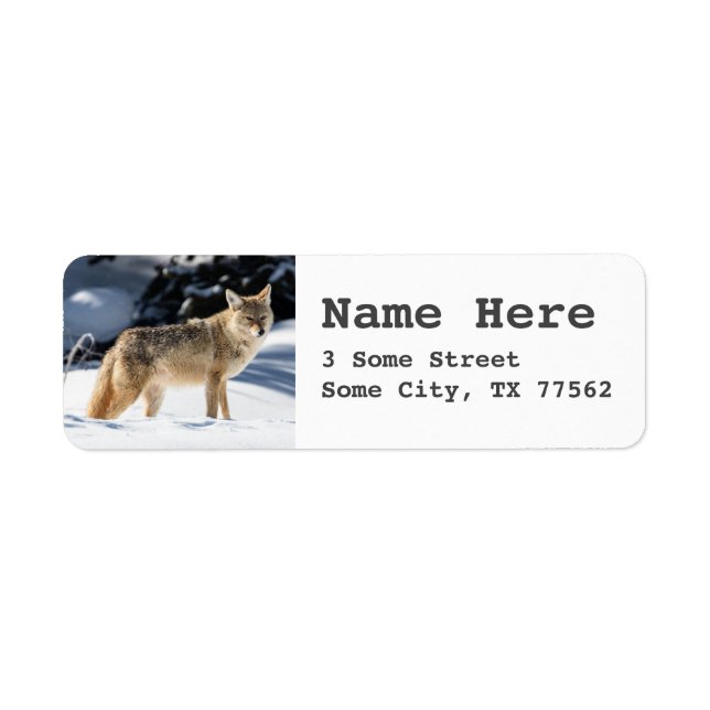 Fox Wildlife Nature Return Address (Front)