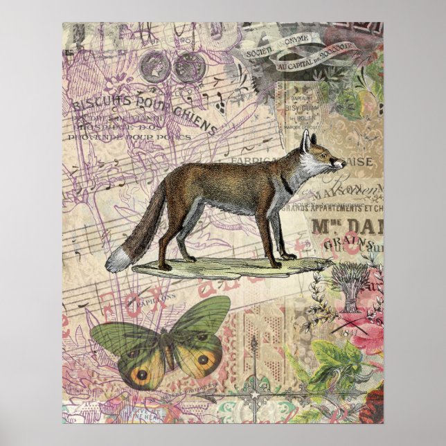 Fox Wildlife Vintage Animal Illustration  Poster (Front)