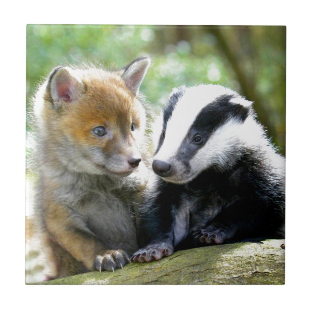Foxcub & Badger Cute! Tile (Front)