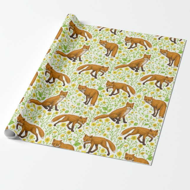 Foxes and buttercups on natural white wrapping paper (Unrolled)