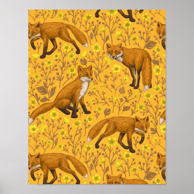 Foxes and buttercups on orange poster (Front)