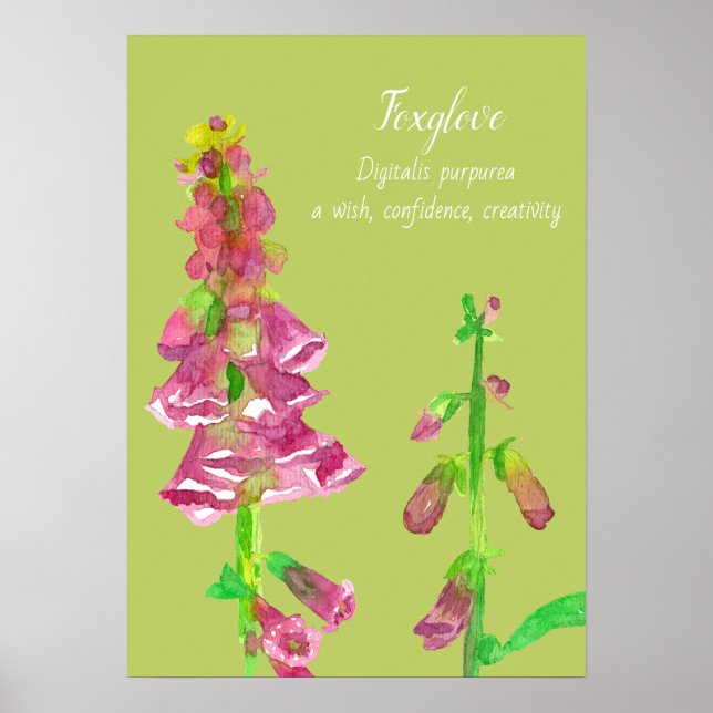 Foxglove Flower Botanical Painting Poster (Front)