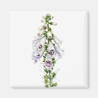 Foxglove flower magnet