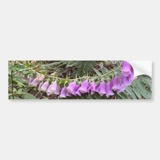 Foxglove flower photo bumper sticker