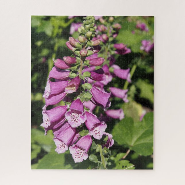 Foxglove Jigsaw Puzzle (Vertical)