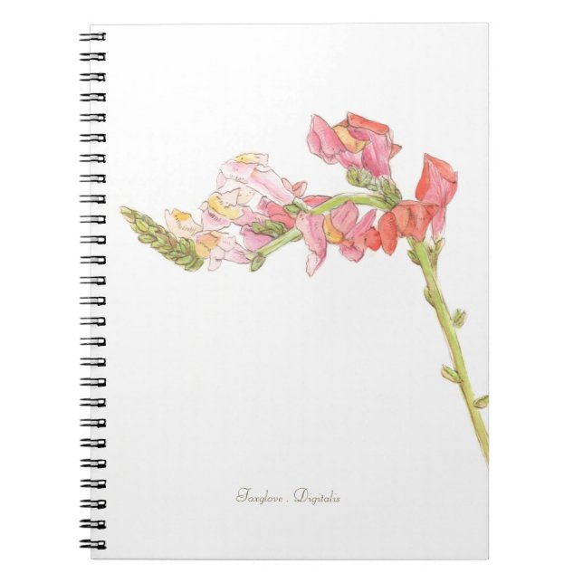 Foxglove  notebook (Front)