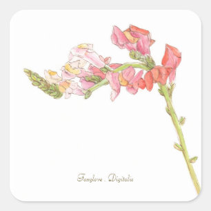 Foxglove Sticker