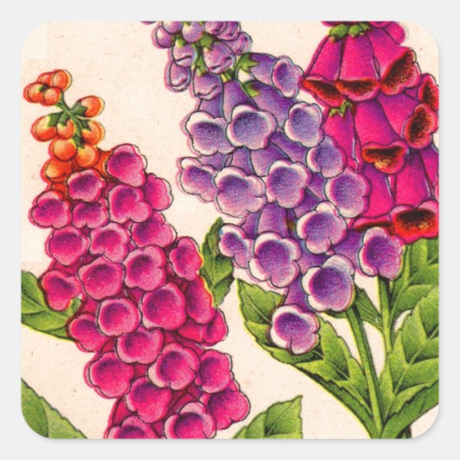 foxgloves in red and purple square sticker (Front)