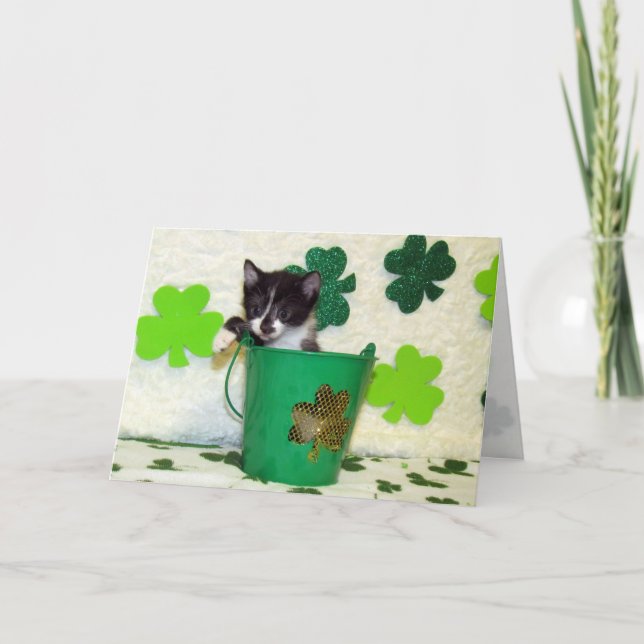 Foxi Moxi - Carte de la Reine de la Saint Patrick (Devant)