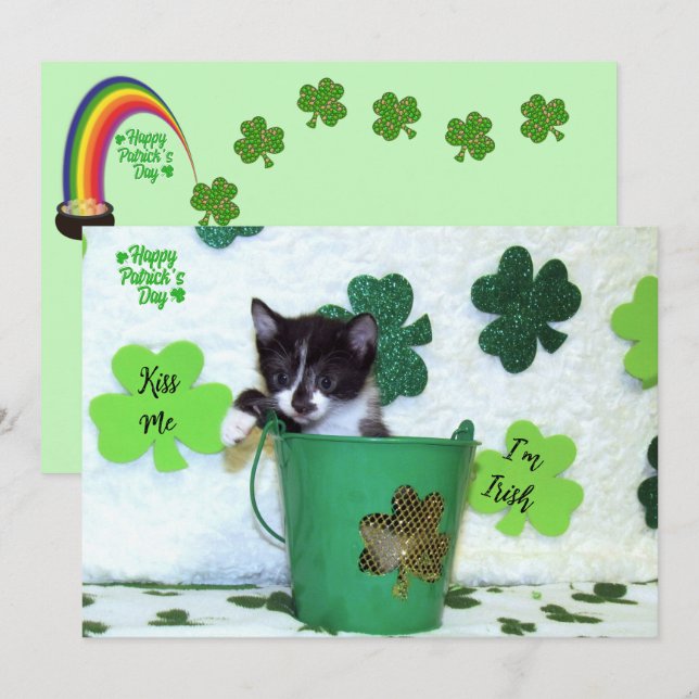 Foxi Moxi's Cat / Kitten St. Patrick's Day  (Front/Back)