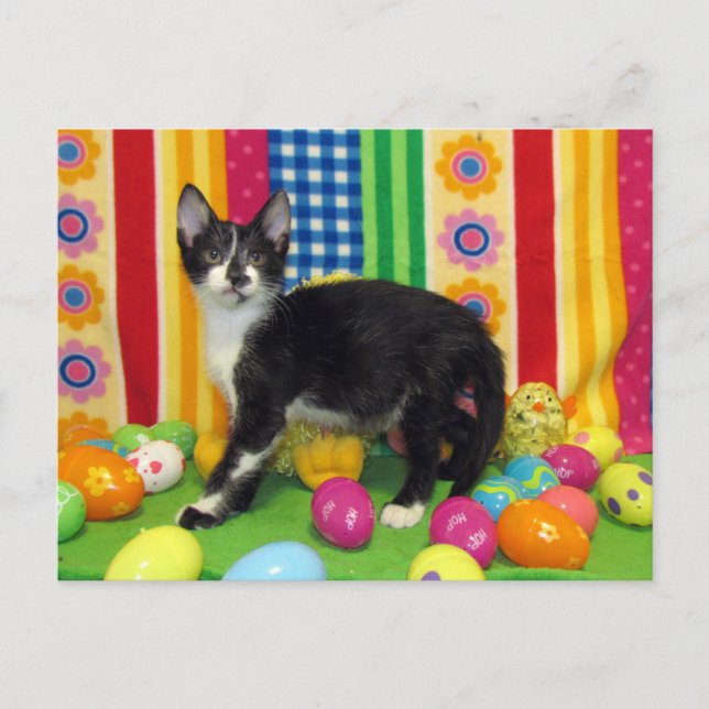 Foxi Moxi's Easter Postcard (Front)