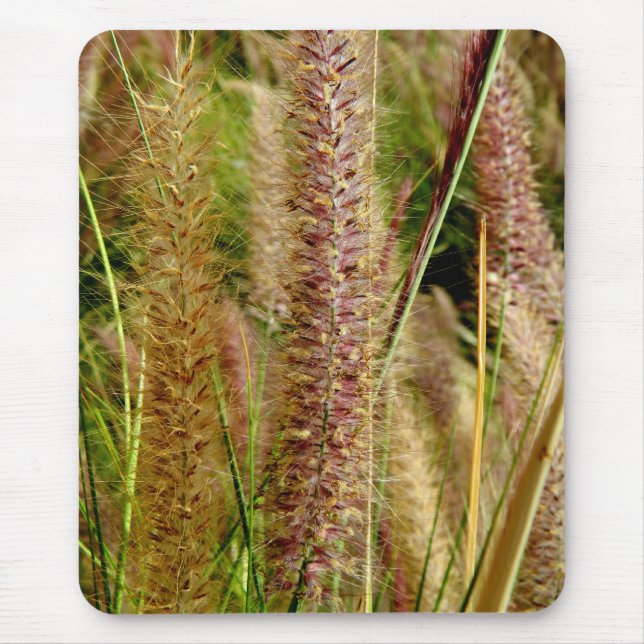 Foxtail grass macro photography picture mouse pad (Front)