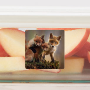 Foxy Triplets