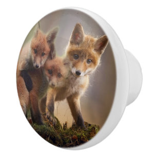 Foxy Triplets Ceramic Knob