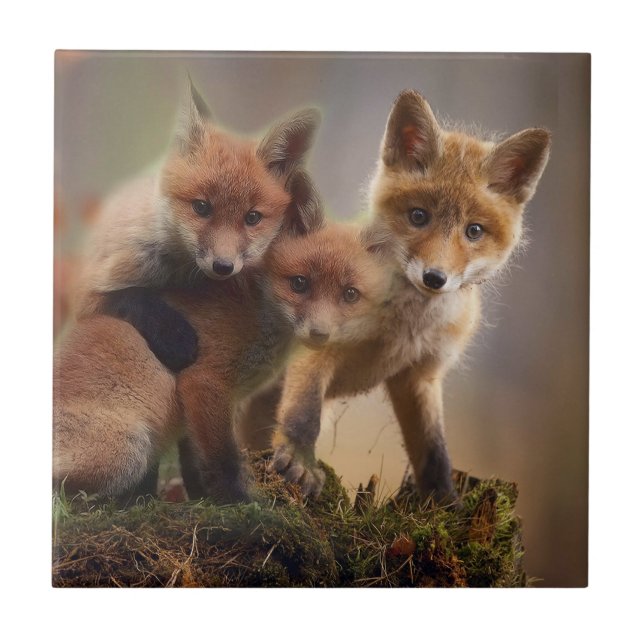 Foxy Triplets Tile (Front)