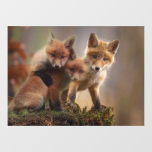 Foxy Triplets Window Cling