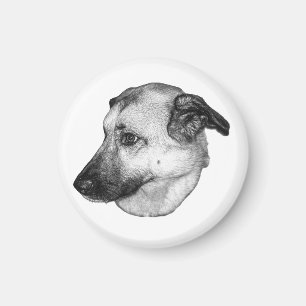 Foyer Naturel, Aimant Chien