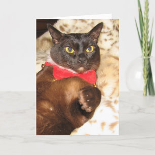 FPG Xmas Burmese 1B - Card