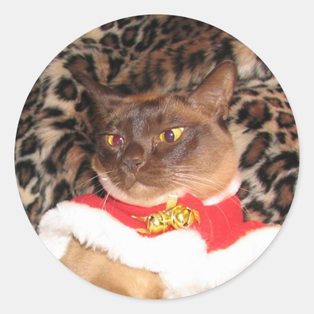 FPG Xmas Burmese 2 - Classic Round Sticker (Front)