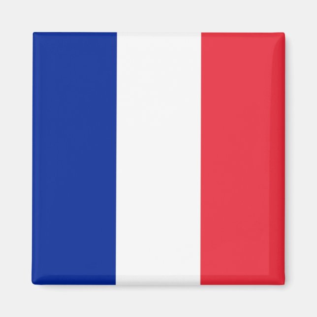 FR - France - Flag Magnet (Front)