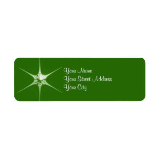 Fractal Christmas star
