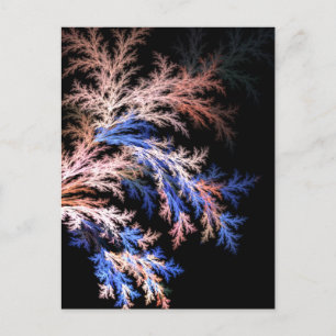 Fractal fern postcard
