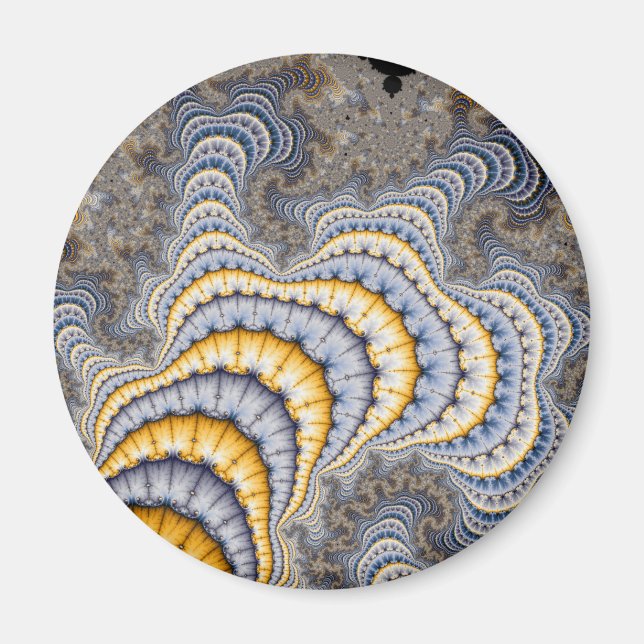 Fractal Plates - Fractal Magnet (Front)