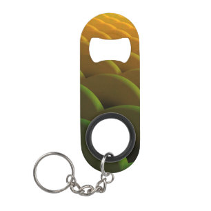 Fractal Scales Bottle Opener Keychain Bottle Opener