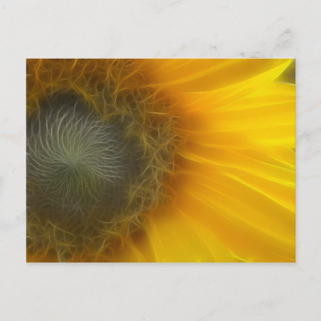 Fractal sunflower postcard (Front)