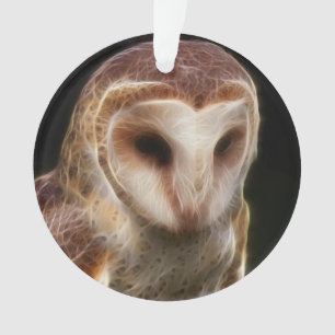 Fractale masquée de hibou