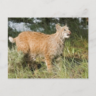 Fractalius Bobcat Postcard