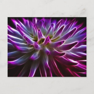 Fractalius Dahlia Postcard
