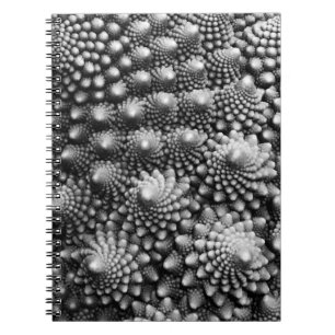 Fractals in Vegetable Aisle, Romanesco Broccoli Notebook