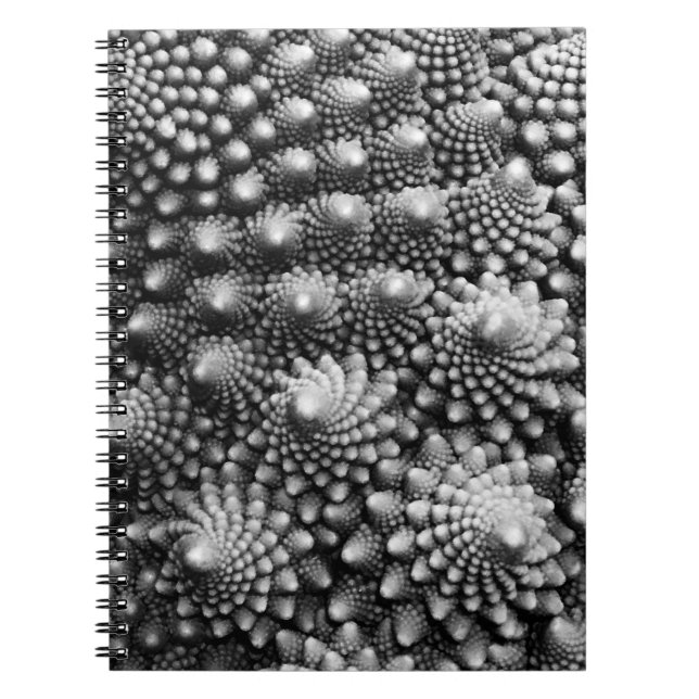 Fractals in Vegetable Aisle, Romanesco Broccoli Notebook (Front)