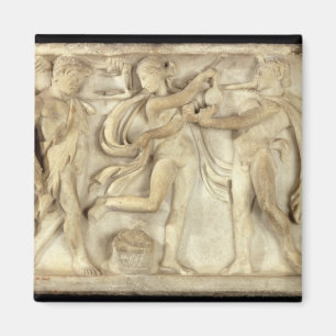 Fragment of a sarcophagus magnet