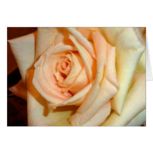 Fragrance