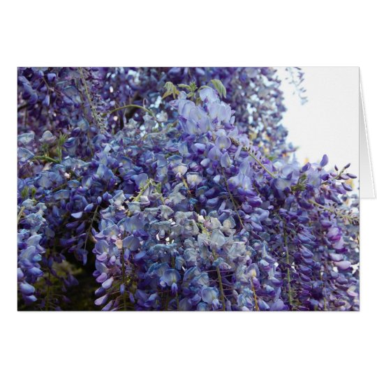 Fragrance in Blue Card