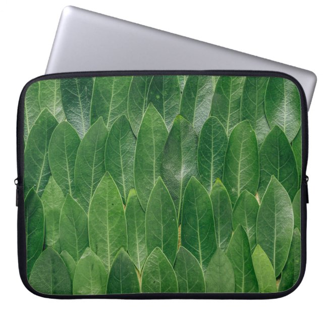 FRAGRANT BAY LEAVES GROW ON LARGE DECIDUOUS TREES LAPTOP SLEEVE (Front)