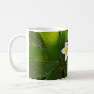  Fragrant Frangipani Flowers  Coffee Mug