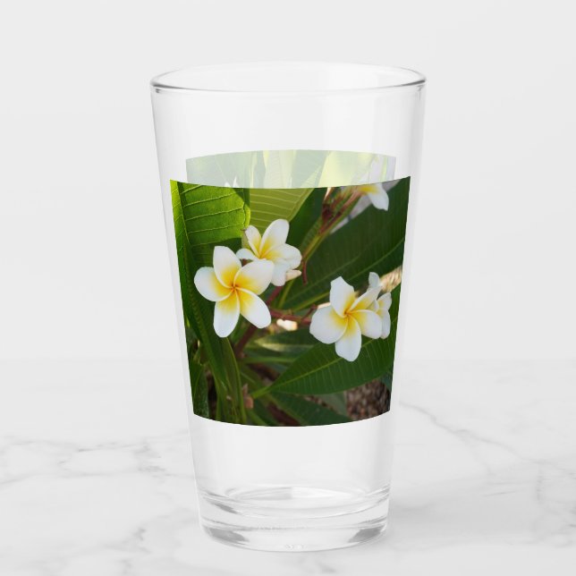  Fragrant Frangipani Flowers  Glass (Front)