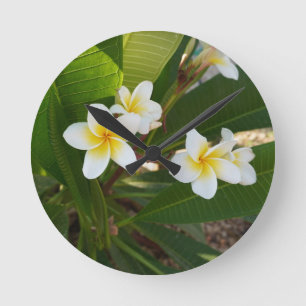 Fragrant Frangipani Flowers Round Clock