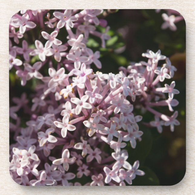 Fragrant Lilac Coaster (Front)