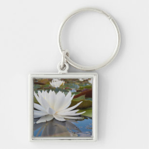 Fragrant Water Lily (Nymphaea Odorata) On Caddo Keychain