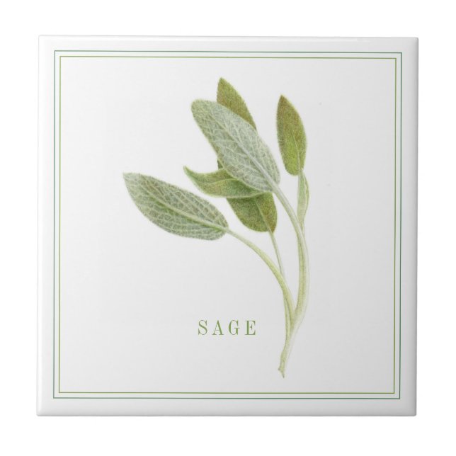 FRAÎCHE SAGE 4.25x4.25 Carreaux en céramique (+tex (Devant)