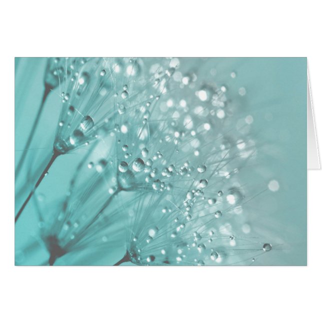 Fraîcheur du matin (Devant horizontal)