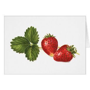 Fraises