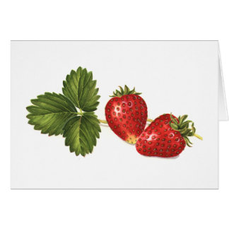 Fraises