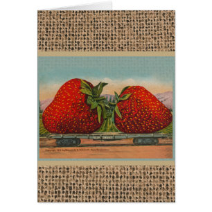 Fraises Giant Fruit Antique Fruit Amusant