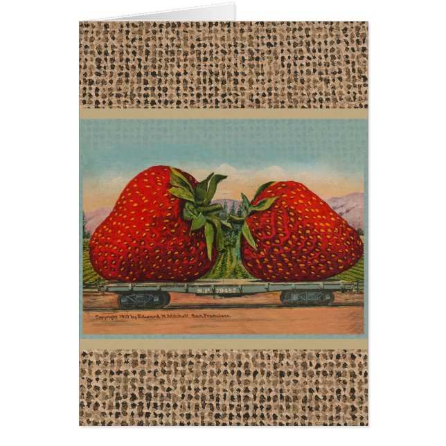 Fraises Giant Fruit Antique Fruit Amusant (Devant)